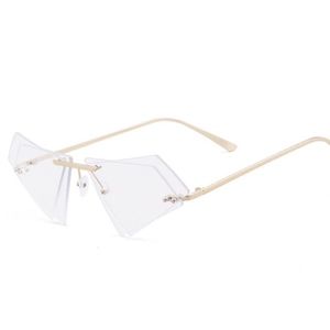 Double Trouble Sunglasses 😎